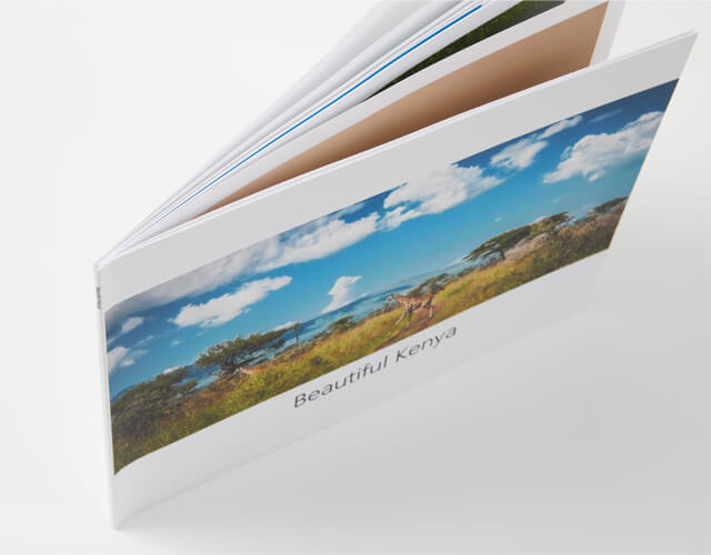 Large Landscape 11x8 Softcover Photobook