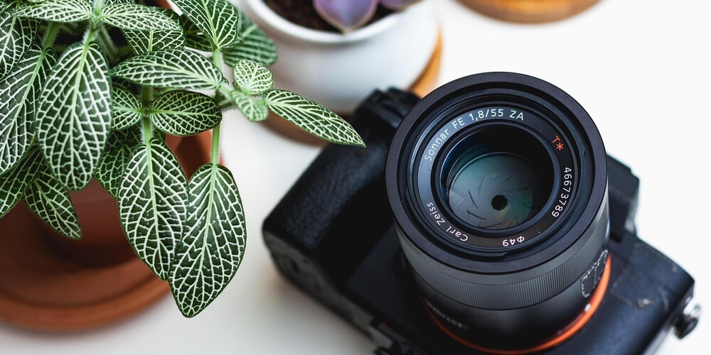 20 Essential Photography Tips for Beginners