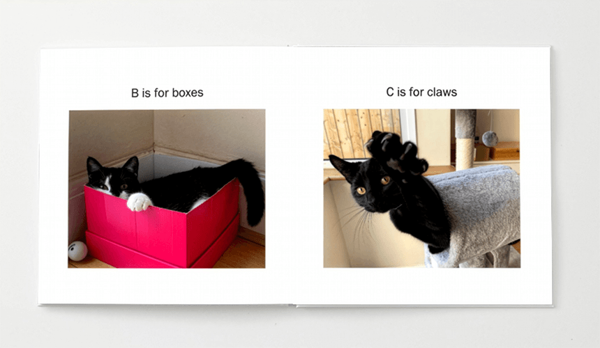 Bob Books
