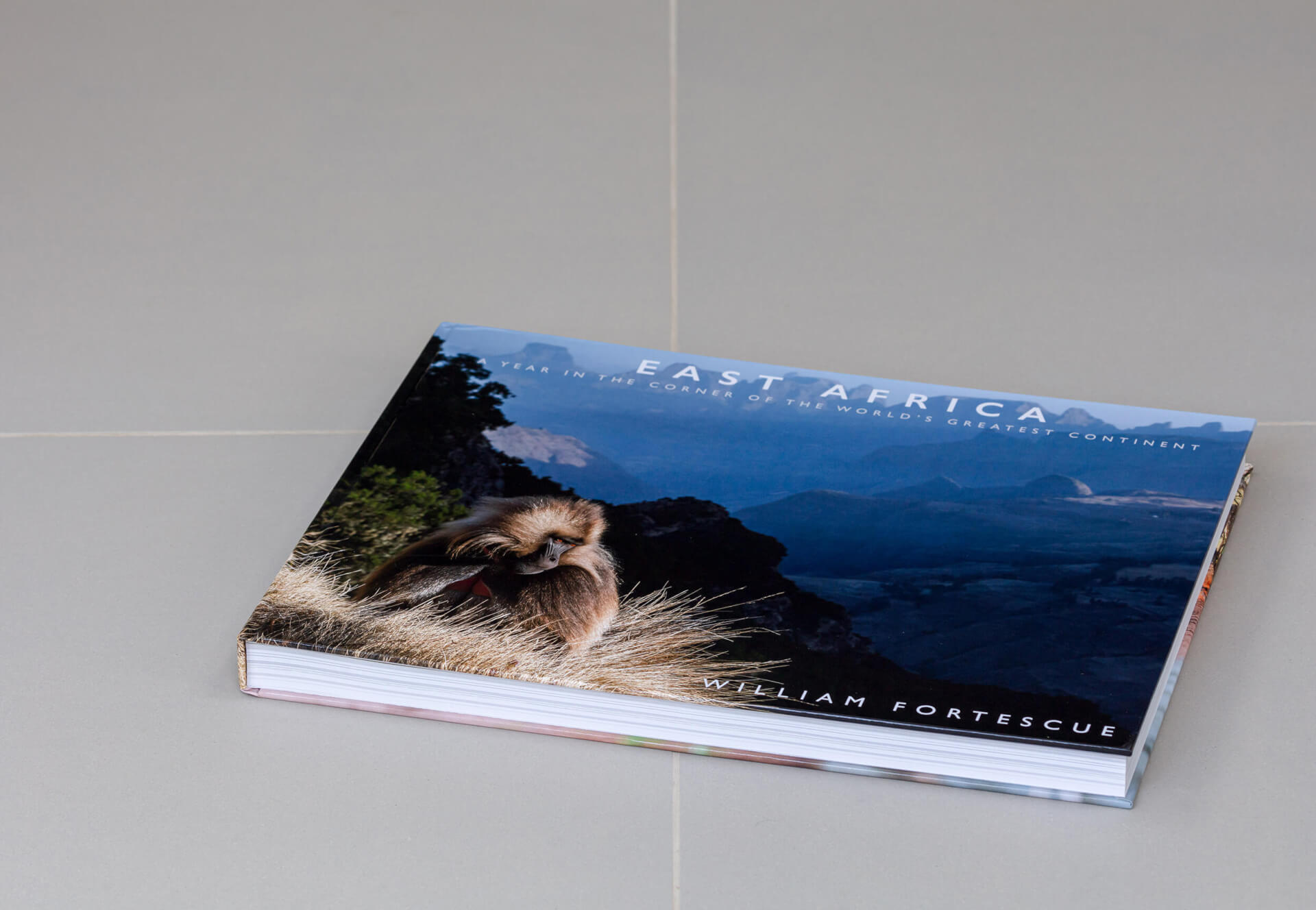 Our Top Five Tips for Photo Book Printing